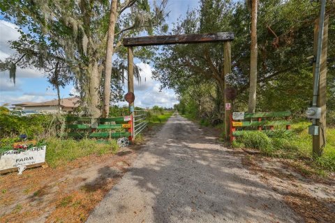 Terreno en venta en Wimauma, Florida № 1901054 - foto 3