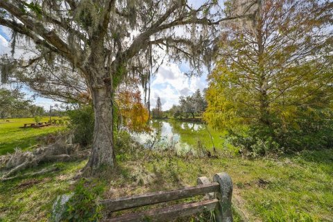 Terreno en venta en Wimauma, Florida № 1901054 - foto 7