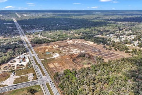 Land in Hernando, Florida № 1552348 - photo 15