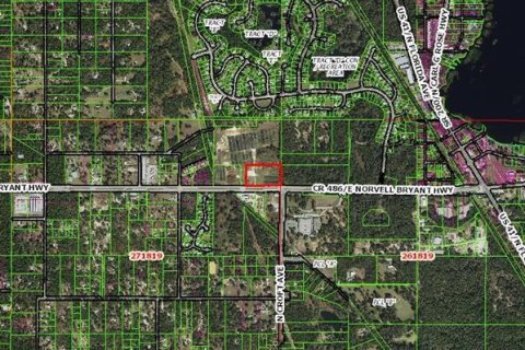 Land in Hernando, Florida № 1552348 - photo 3