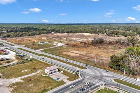 Land in Hernando, Florida № 1552348 - photo 6