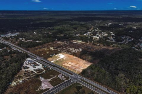 Land in Hernando, Florida № 1552348 - photo 22