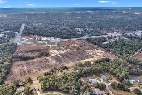 Land in Hernando, Florida № 1552348 - photo 19