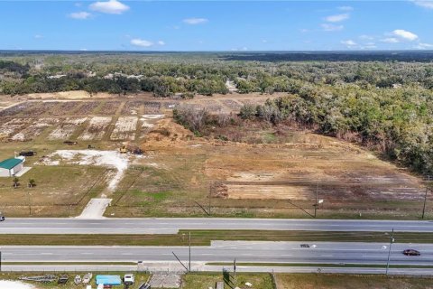 Land in Hernando, Florida № 1552348 - photo 7