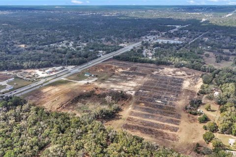 Land in Hernando, Florida № 1552348 - photo 17