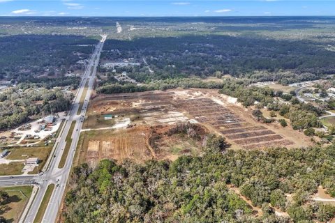 Land in Hernando, Florida № 1552348 - photo 16