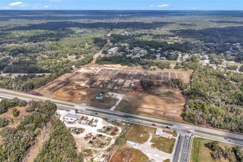 Land in Hernando, Florida № 1552348 - photo 21