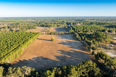 Land in Williston, Florida № 2094522 - photo 7