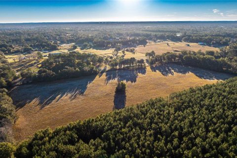 Land in Williston, Florida № 2094522 - photo 4