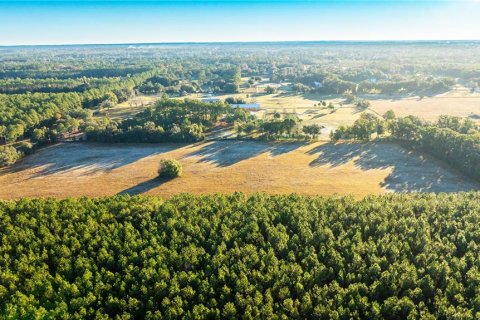 Land in Williston, Florida № 2094522 - photo 5