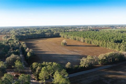 Land in Williston, Florida № 2094522 - photo 11
