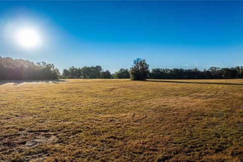 Land in Williston, Florida № 2094522 - photo 2