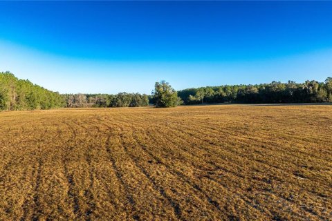 Land in Williston, Florida № 2094522 - photo 3