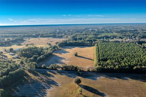 Land in Williston, Florida № 2094522