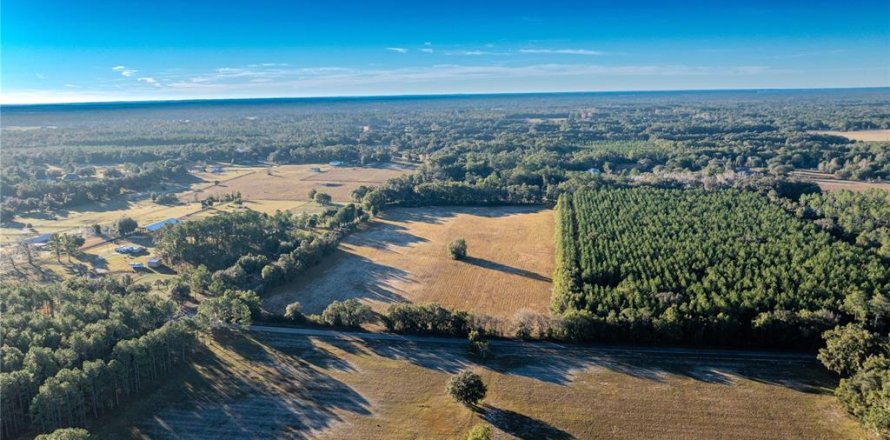 Land in Williston, Florida № 2094522