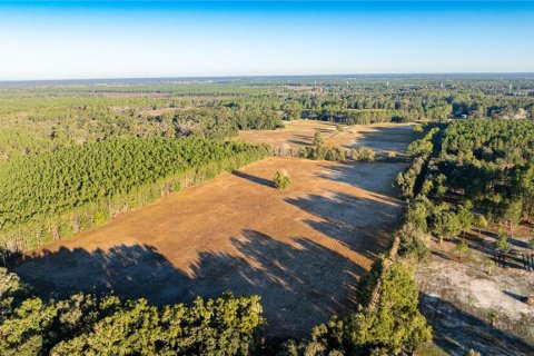 Land in Williston, Florida № 2094522 - photo 9