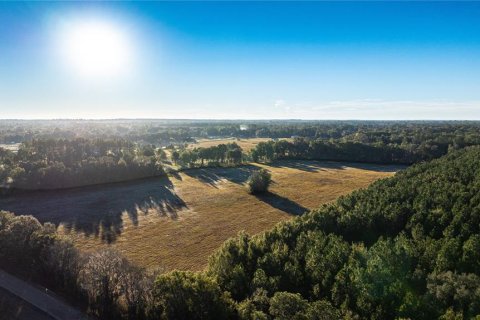 Land in Williston, Florida № 2094522 - photo 12