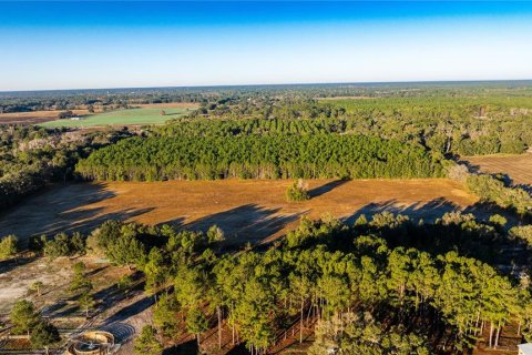 Land in Williston, Florida № 2094522 - photo 10