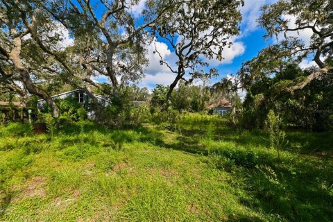 House in Dade City, Florida 3 bedrooms, 167.5 sq.m. № 1916989 - photo 19