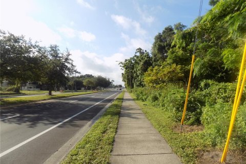 Terreno en venta en Orlando, Florida № 960150 - foto 2