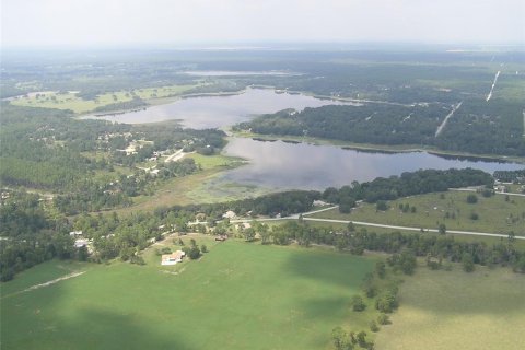 Land in Dunnellon, Florida № 2212673 - photo 10