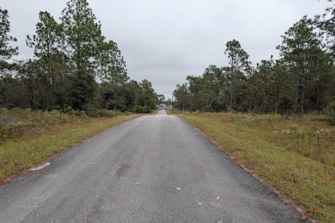 Land in Dunnellon, Florida № 2212673 - photo 3