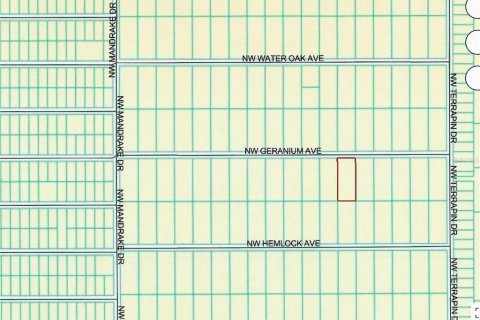 Land in Dunnellon, Florida № 2212673 - photo 6