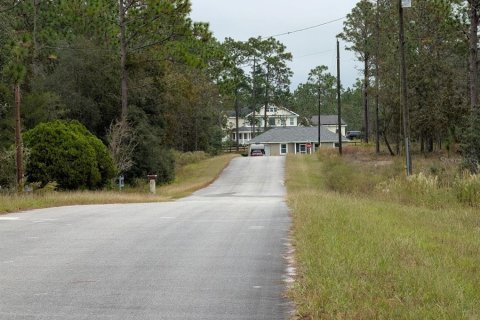 Land in Dunnellon, Florida № 2212673 - photo 5