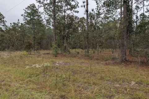 Land in Dunnellon, Florida № 2212673 - photo 2