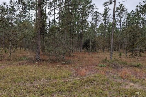 Land in Dunnellon, Florida № 2212673