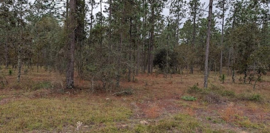 Land in Dunnellon, Florida № 2212673