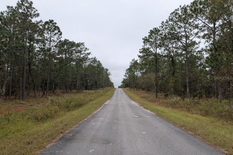 Land in Dunnellon, Florida № 2212673 - photo 4