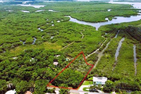 Terreno en venta en New Smyrna Beach, Florida № 2101675 - foto 3
