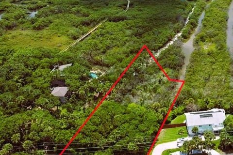 Terreno en venta en New Smyrna Beach, Florida № 2101675 - foto 7