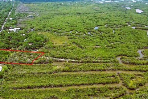 Terreno en venta en New Smyrna Beach, Florida № 2101675 - foto 9