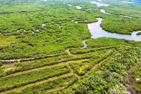 Terreno en venta en New Smyrna Beach, Florida № 2101675 - foto 10