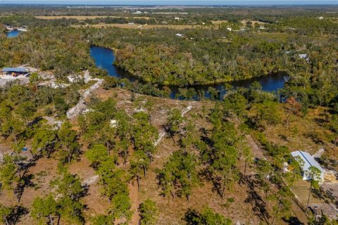 Terrain à vendre à Punta Gorda, Floride № 2203784 - photo 6