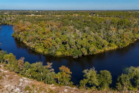 Terrain à vendre à Punta Gorda, Floride № 2203784 - photo 5