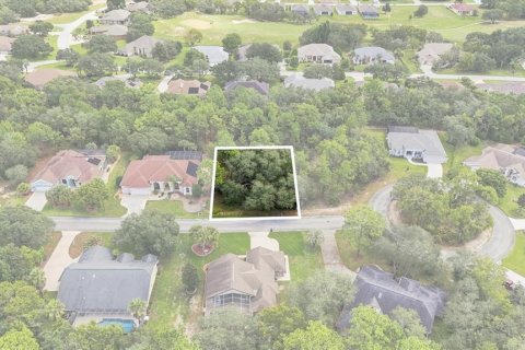 Land in Homosassa, Florida № 2352390