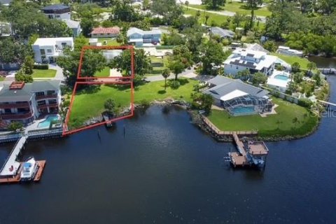 House in Tampa, Florida 4 bedrooms, 176.98 sq.m. № 1795798 - photo 2