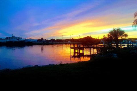 House in Tampa, Florida 4 bedrooms, 176.98 sq.m. № 1795798 - photo 17
