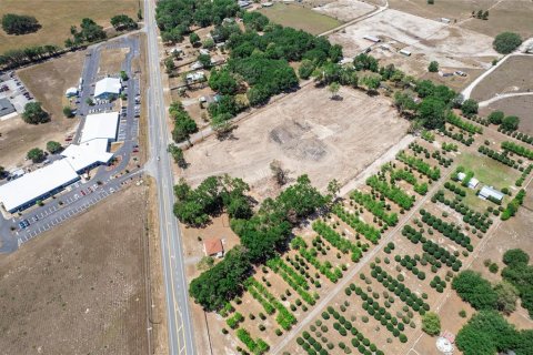 Terreno en venta en Sumter, Florida № 1718948 - foto 6