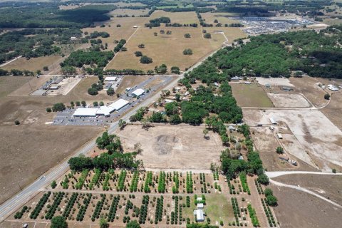 Terreno en venta en Sumter, Florida № 1718948 - foto 7