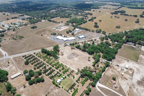 Terreno en venta en Sumter, Florida № 1718948 - foto 8