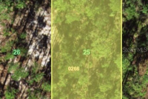 Land in Port Charlotte, Florida № 2218520 - photo 2