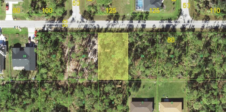 Land in Port Charlotte, Florida № 2218520
