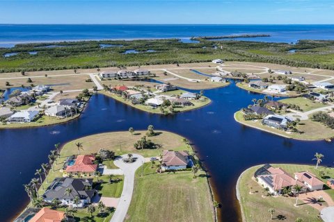 Land in Punta Gorda, Florida № 1734074 - photo 3