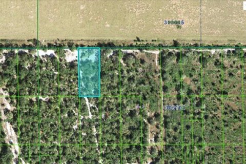 Terreno en Lake Wales, Florida № 2226947