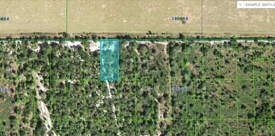 Terreno en Lake Wales, Florida № 2226947