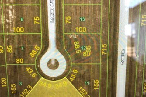 Land in Placida, Florida № 2165060 - photo 2